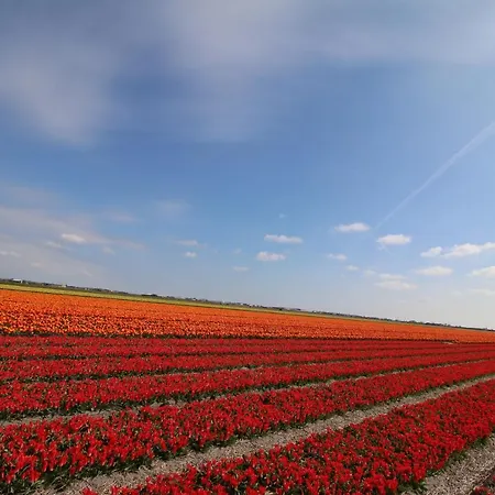 Am Mit Kamin & Sauna - Seestern 251