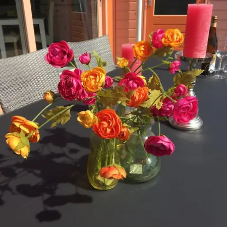 Am Mit Kamin & Sauna - Seestern 251 * Julianadorp