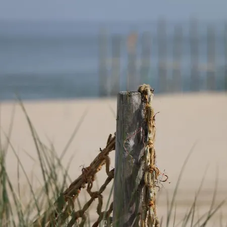 Casa vacanze Am Mit Kamin & Sauna - Seestern 251 *