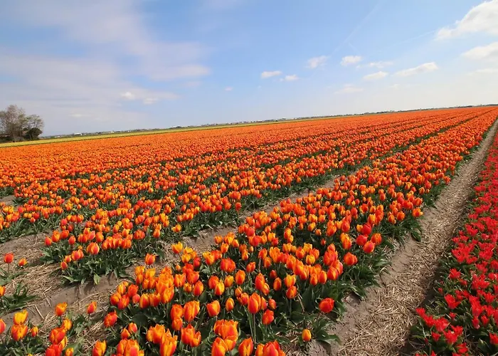 Am Mit Kamin & Sauna - Seestern 251 *