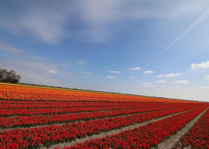 Am Mit Kamin & Sauna - Seestern 251