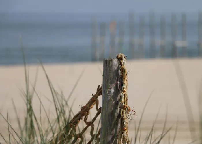 Дом отдыха Am Mit Kamin & Sauna - Seestern 251 *