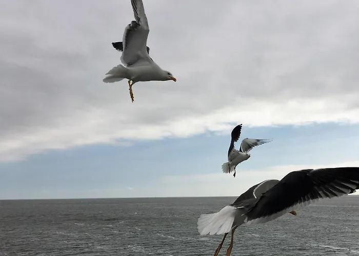 Am Mit Kamin & Sauna - Seestern 251 Юлианадорп