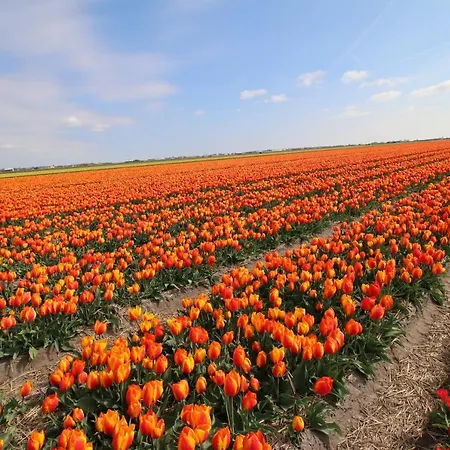Am Mit Kamin & Sauna - Seestern 251 *