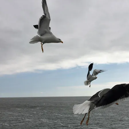 Am Mit Kamin & Sauna - Seestern 251 Julianadorp